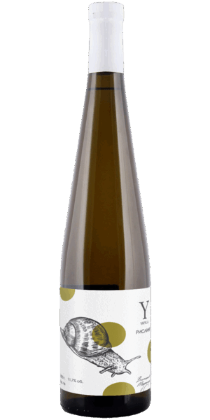 YAIYLA RIESLING<br>2025